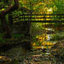 Bridge Into Autumn 2