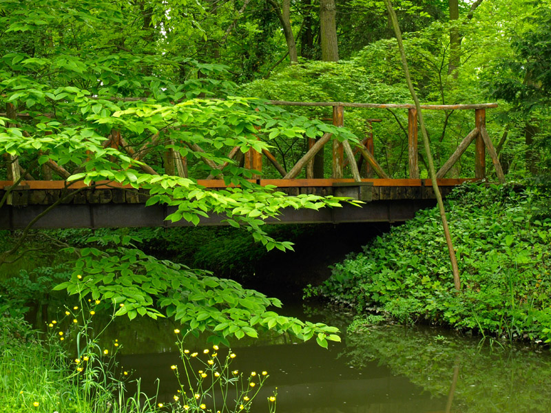 Bridge Into Spring