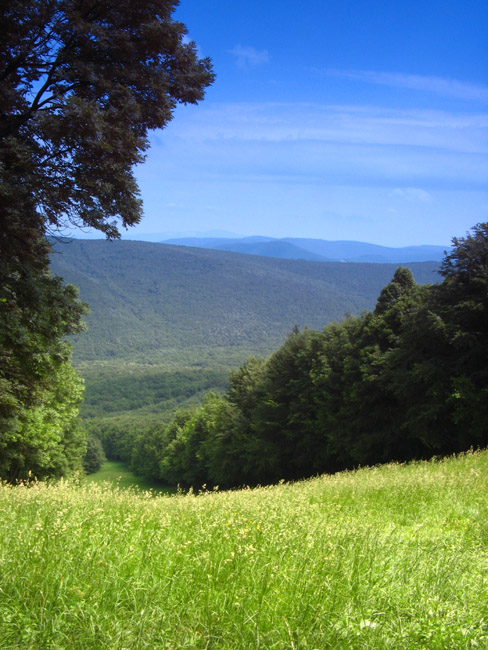 Sky Is Blue, Fields Are Green