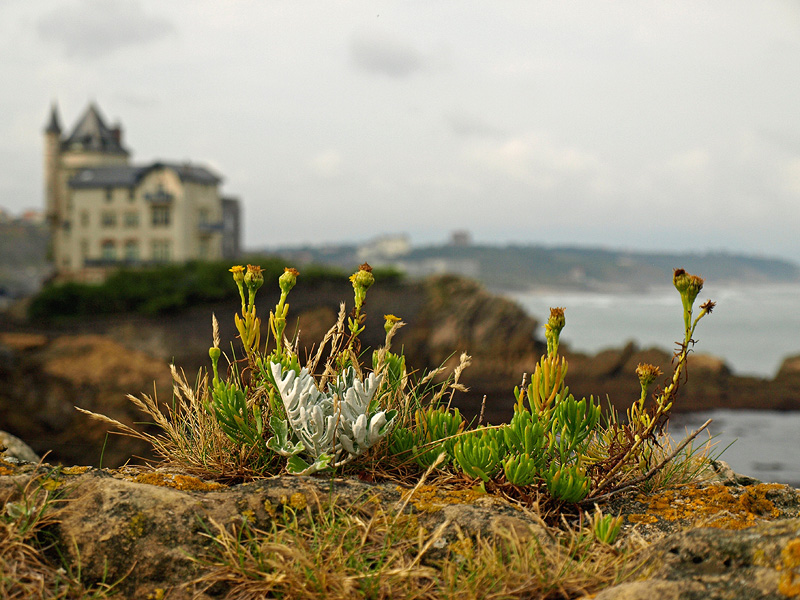 Simply Biarritz