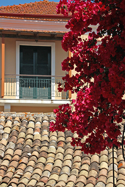 Lakones With Bougainvillea