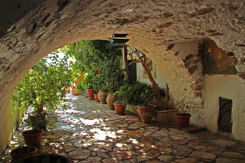 Greenery Under the Arch