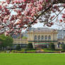 Stadtpark with Magnolias