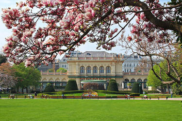 Stadtpark with Magnolias