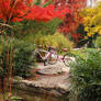 Pink Bicycles in Autumn