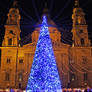 Basilica, Ice and Christmas Tree