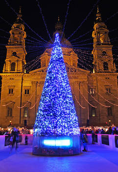 Basilica, Ice and Christmas Tree