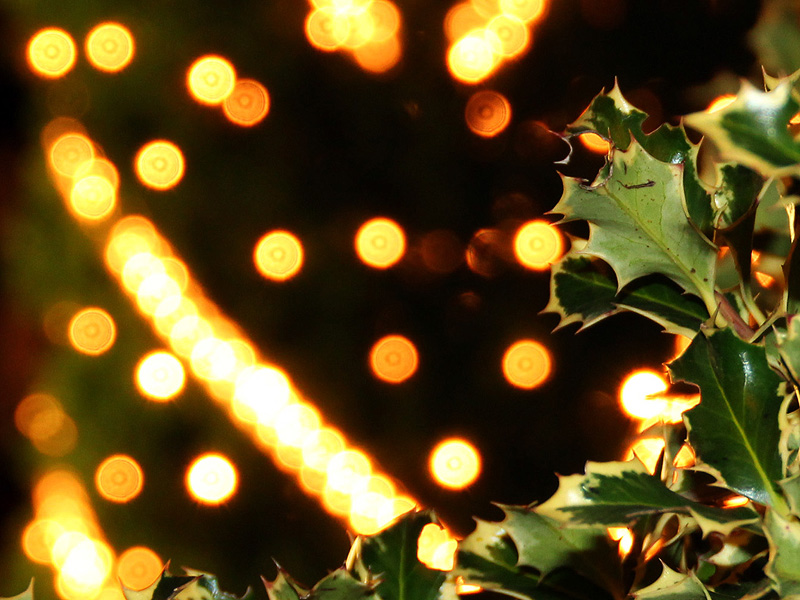 Christmas Lights and Holly