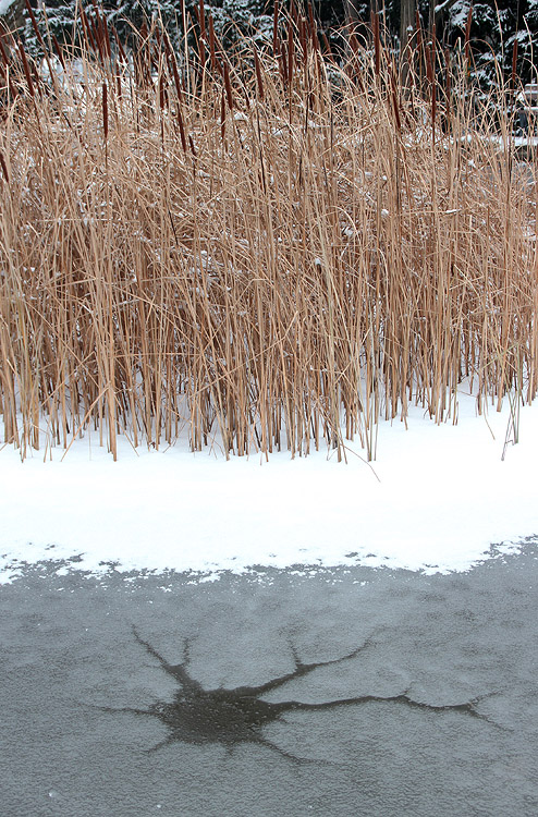 Hole in the Ice