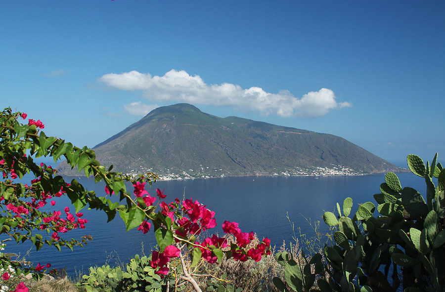 Salina with Bougainvillea