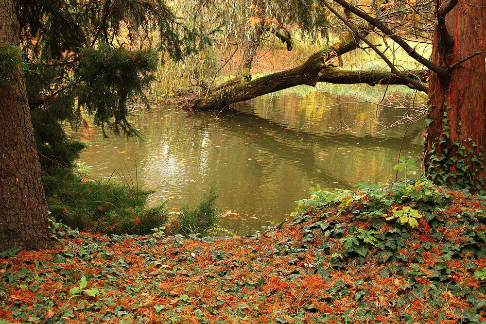 Autumn with Water 1