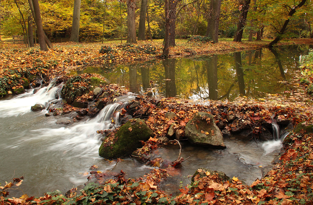 Little Autumn Cascade 4