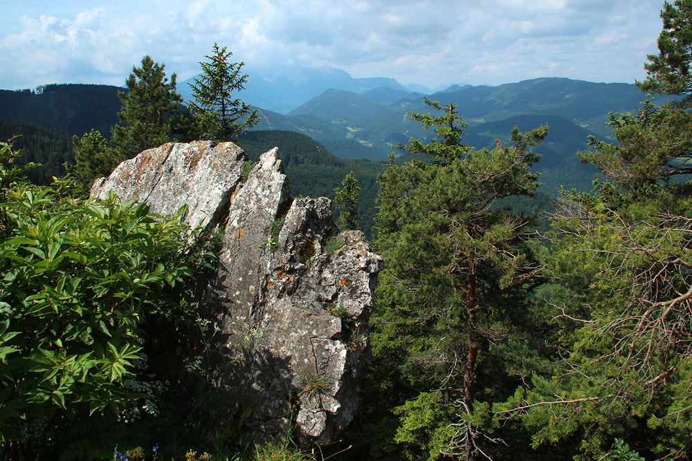 Schneeberg Viewed from Hohewand