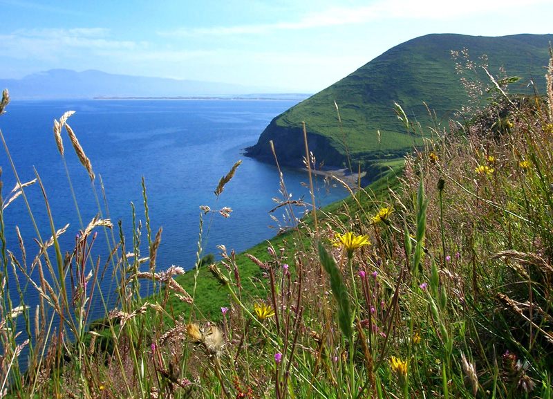 View from the Ring of Kerry