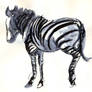 Zebra Standing