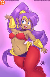 Half-Genie Hero Shantae