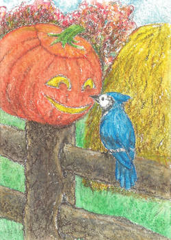 the Blue Jay's Friend ACEO ATC