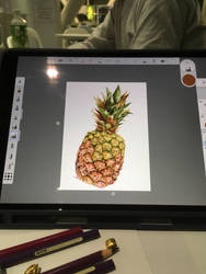 Pineapple with iPad and color pencils 