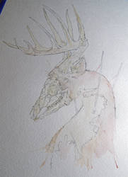 DEER DWN - Process 2