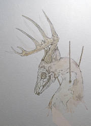 DEER DWN - Process 4