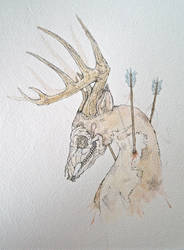 DEER DWN - Process 5