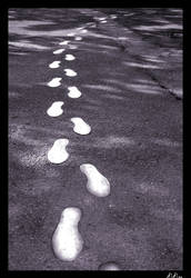 foot prints on the cement