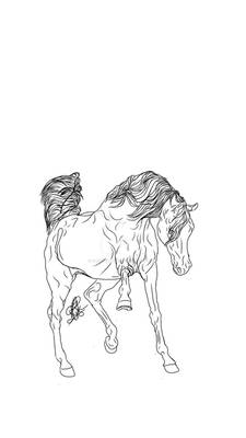 P2U Arabian horse lineart