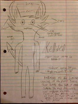 KELLIVEN ANATOMY SHEET