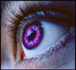 Purps by d4doggy