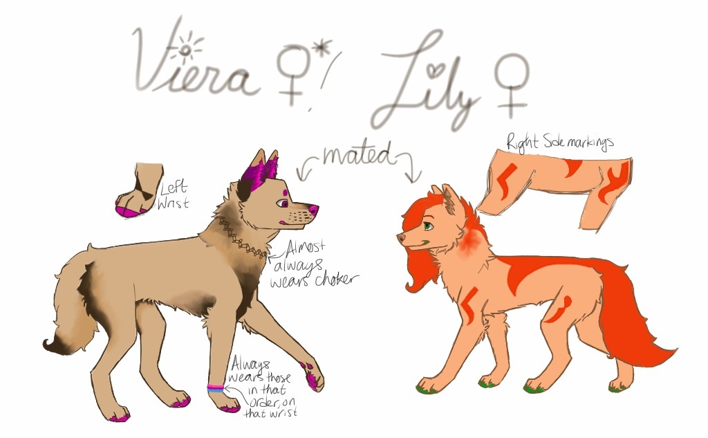 My sona and her mate (Lily, not irl :/) by sketchshrugplz on DeviantArt