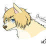 Canine Armin
