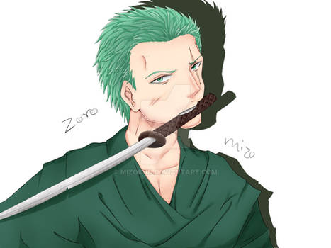 Zoro from one piece