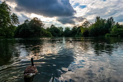 Battersea Park, London