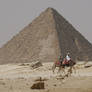 Giza Pyramid and Camels