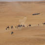 Camel Caravan in Egypt