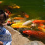 Infant Feeding Koi