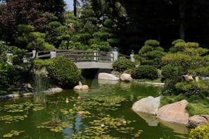 Japanese Footbridge