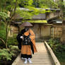 Begging Monk in Nikko