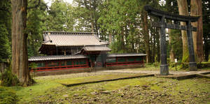 A Shrine in Nikko Forest
