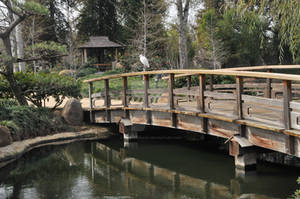 Japanese Footbridge and Egret