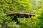 Paradise Found - Nikko Japanese Garden