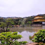 Kinkakuji Golden Pavilion 3