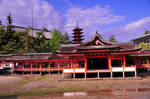 Itsukushima Shrine by AndySerrano