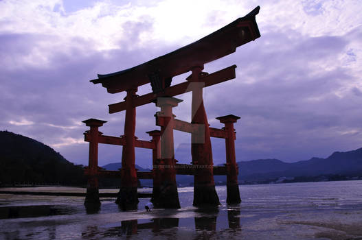 Itsukushima Torii 6