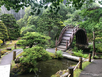 Soribashi path pond trees