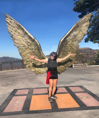 Andy with Gold Wings