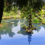Japanese Garden Lantern Pond Lily Pads Steps