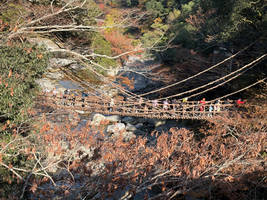 People on Oboke Gorge Bridge Japan