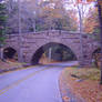 Acadia Bridge