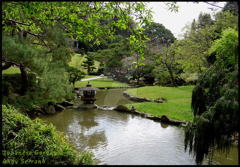 Japanese Garden 5 Pond